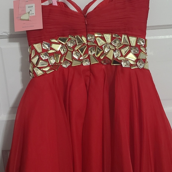 Beautiful Red Dress designed by Blush Size 10 - Picture 11 of 16